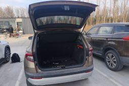
										Skoda Karoq 2020 TSI280 Smart Technology Edition (China VI Emission Standard) full									