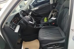 
										Volkswagen Tiguan L 2024 300TSI Automatic Two-Wheel Drive Smart Edition full									
