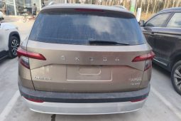 
										Skoda Karoq 2020 TSI280 Smart Technology Edition (China VI Emission Standard) full									