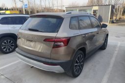 
										Skoda Karoq 2020 TSI280 Smart Technology Edition (China VI Emission Standard) full									