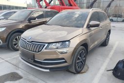 
										Skoda Karoq 2020 TSI280 Smart Technology Edition (China VI Emission Standard) full									