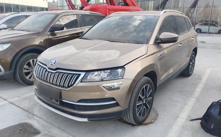 
								Skoda Karoq 2020 TSI280 Smart Technology Edition (China VI Emission Standard) full									