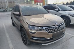 
										Skoda Karoq 2020 TSI280 Smart Technology Edition (China VI Emission Standard) full									