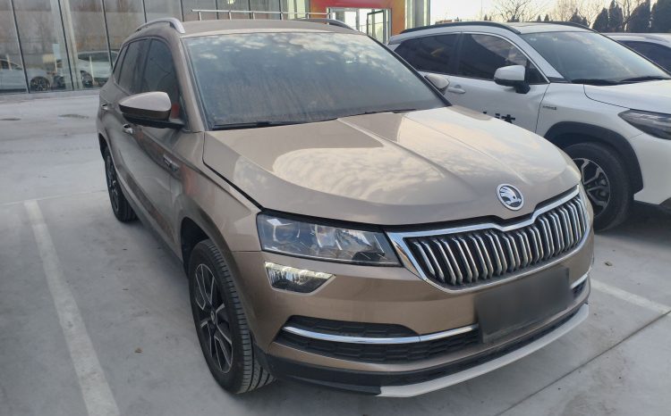 
								Skoda Karoq 2020 TSI280 Smart Technology Edition (China VI Emission Standard) full									