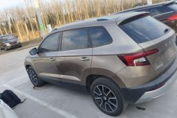 
										Skoda Karoq 2020 TSI280 Smart Technology Edition (China VI Emission Standard) full									