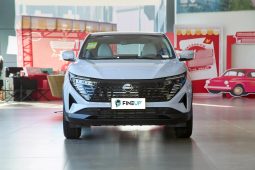 
										Nissan Qashqai 2025 Honor Edition 2.0L CVT Compact SUV full									