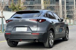 
										Mazda CX-30 2020 2.0L Automatic Comfort Edition — подержанный качественный городской кроссовер с пробегом 55726 км full									