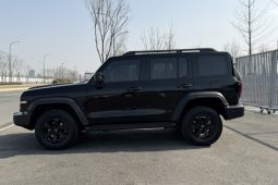 
										Tank 300 2023 Off-Road Edition 2.0T Conqueror full									