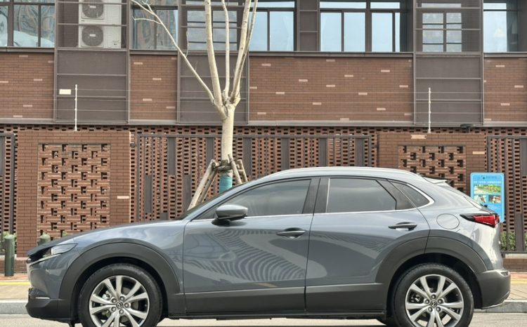
								Mazda CX-30 2020 2.0L Automatic Comfort Edition — подержанный качественный городской кроссовер с пробегом 55726 км full									