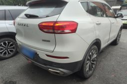 
										Haval H6 2020 1.5GDIT 7DCT Platinum Champion Edition, реальный пробег 70132 км, 1 владелец состояние 85% от нового full									