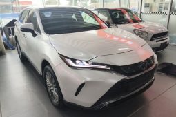 
										Toyota HARRIER 2023 2.0L CVT 2WD Premium Edition full									