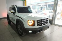 
										Haval Big Dog 2021 1.5T DCT 2WD Labrador Edition, реальный пробег 65289 км, брутальный кроссовер full									