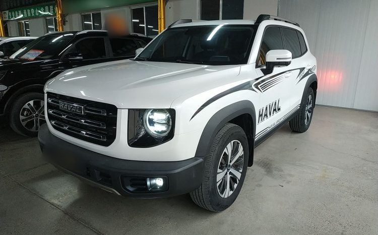 
								Haval Big Dog 2021 1.5T DCT 2WD Labrador Edition, реальный пробег 65289 км, брутальный кроссовер full									