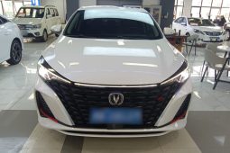 Changan Eado 2023 Enjoy Edition PLUS Blue Whale NE 1.4T GDI DCT Premium Edition