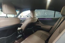 
										Lexus ES 2022 300h Premium Edition full									