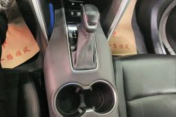 
										Toyota HARRIER 2023 2.0L CVT 2WD Premium Edition full									