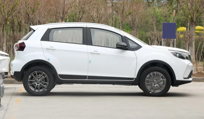 
								Ruilan X3 PRO 2024 АКПП + панорамная крыша, новый автомобиль, бюджетный экспортный кроссовер full									